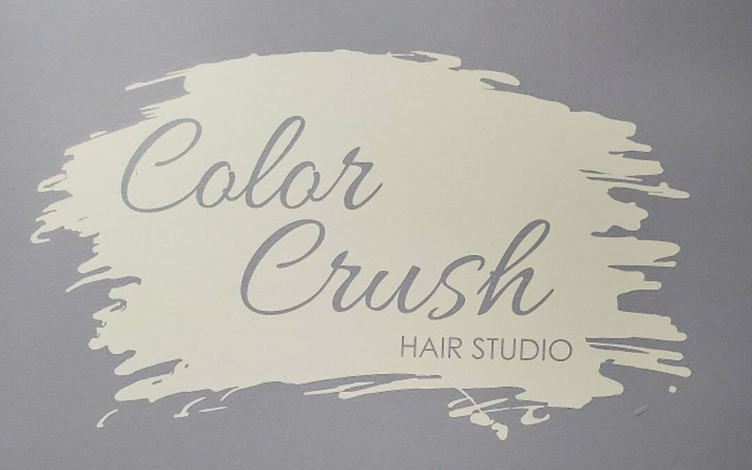 Aisha Hurt – Color Crush Hair Studio